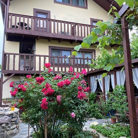 Casa Donau Delta Hotell Sulina Eksteriør bilde