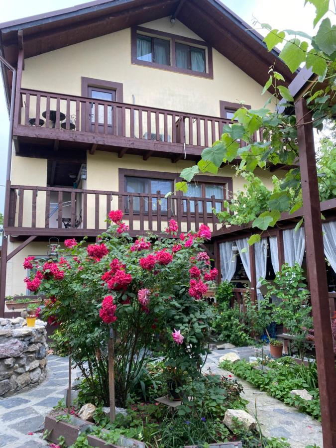 Casa Donau Delta Hotell Sulina Eksteriør bilde