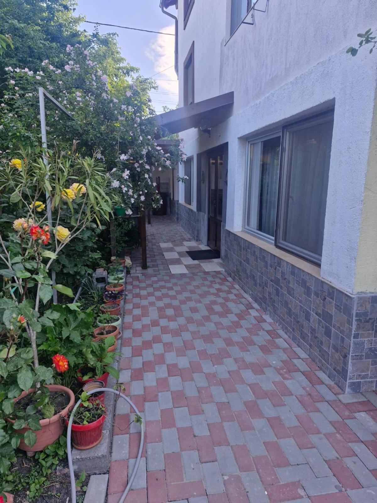 Casa Donau Delta Hotell Sulina Eksteriør bilde